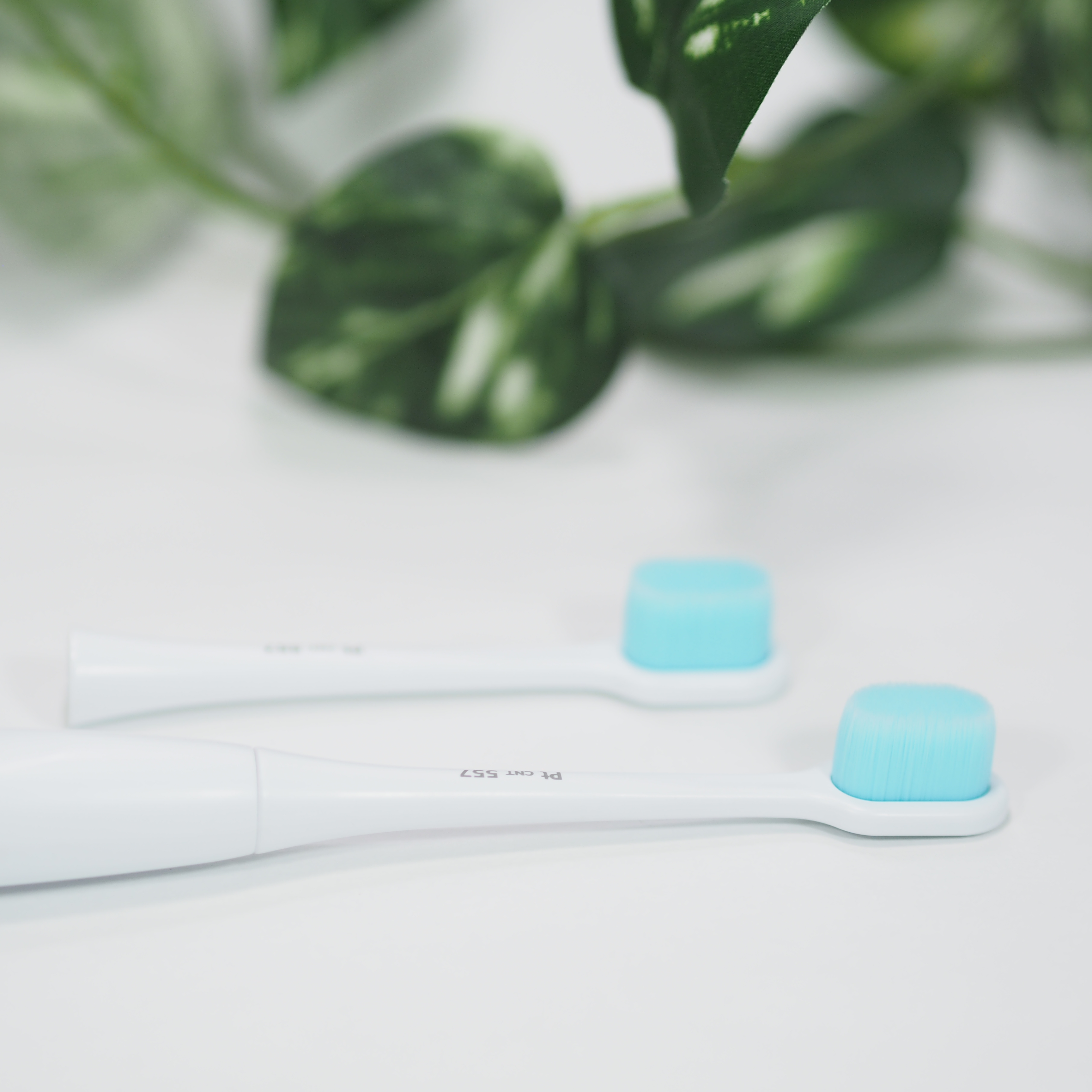 0.08mm超極細毛のマクロイメージ